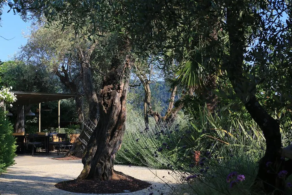 Locanda Al Colle Hotel Camaiore Italië