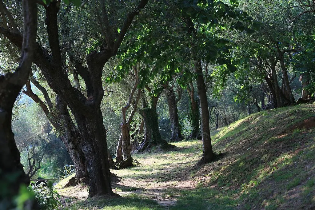 Locanda Al Colle Hotel Camaiore 0*,  Italië